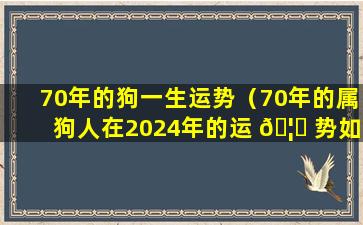 70年的狗一生运势（70年的属狗人在2024年的运 🦆 势如 🐝 何）